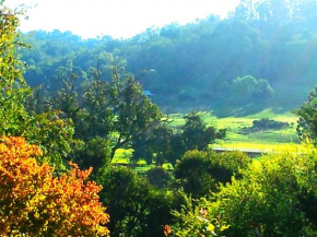Brookvale House Balingup